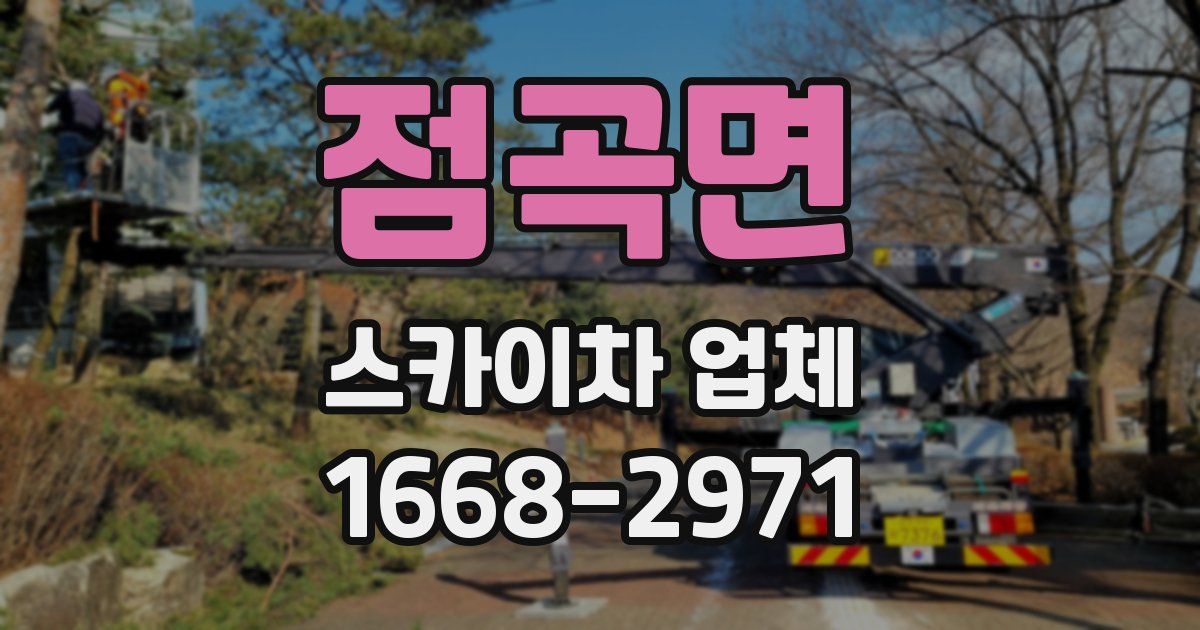 점곡면 스카이차 업체