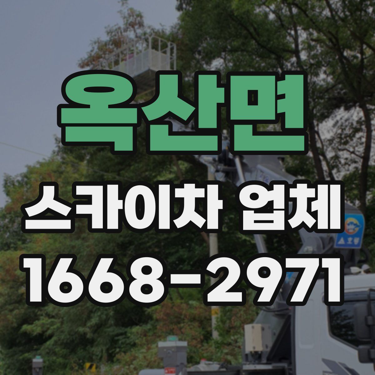 옥산면 스카이차 업체