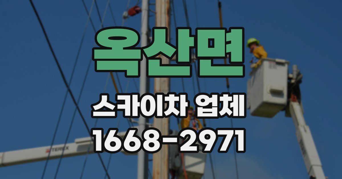 옥산면 스카이차 업체