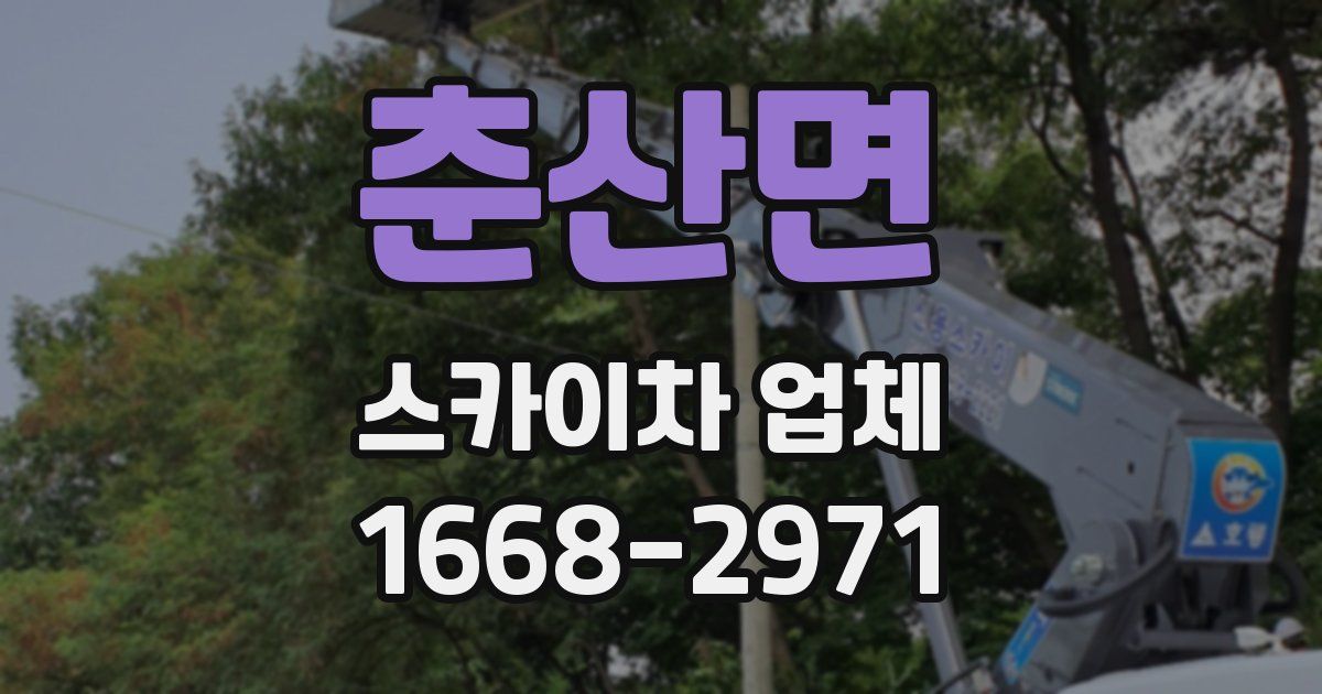춘산면 스카이차 업체