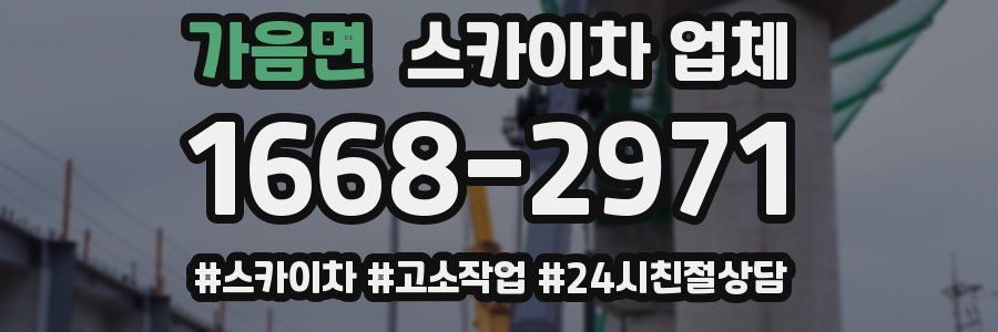 가음면 스카이차 업체