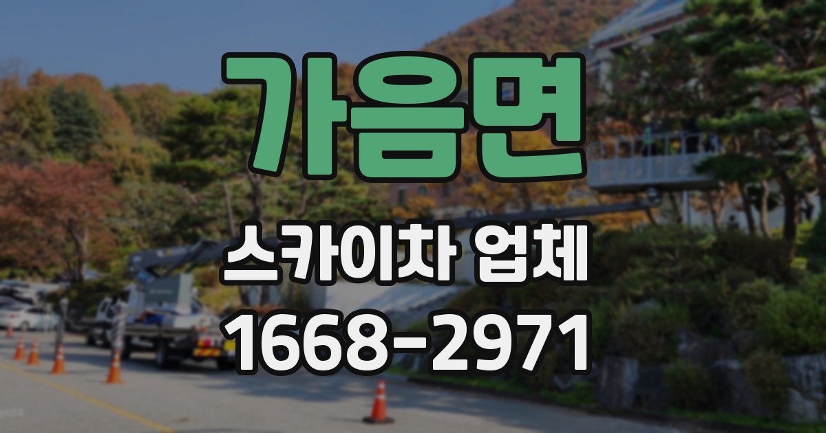 가음면 스카이차 업체