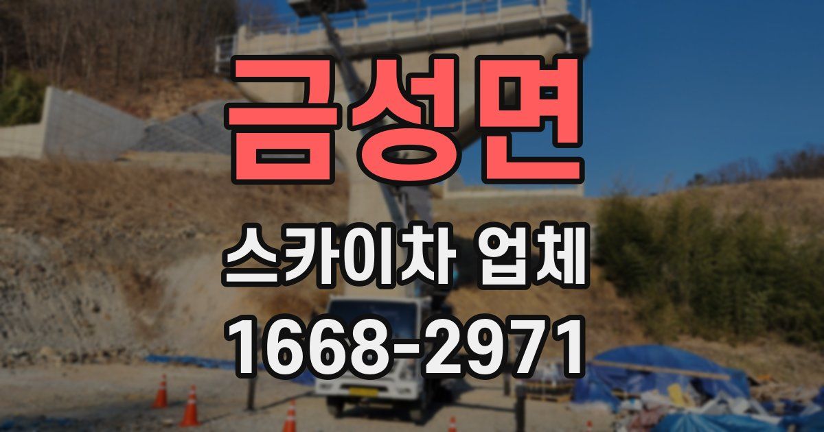 금성면 스카이차 업체