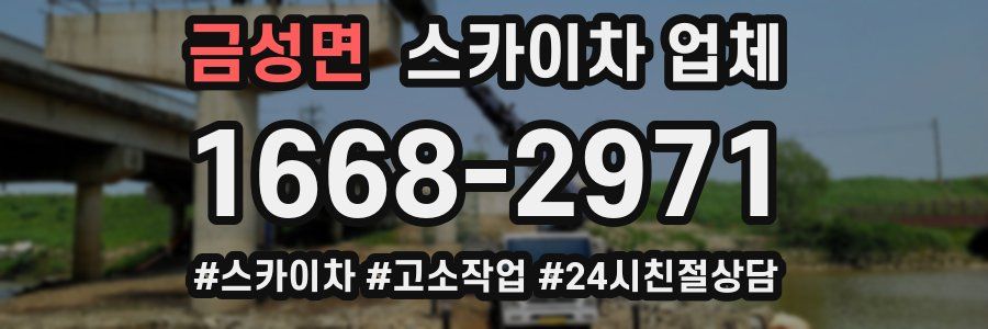 금성면 스카이차 업체