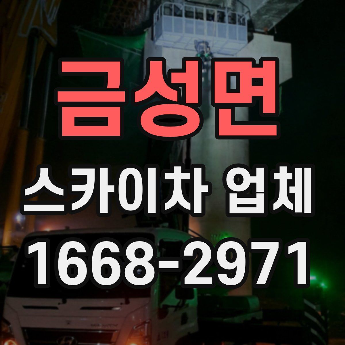 금성면 스카이차 업체