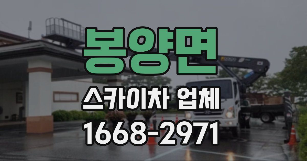봉양면 스카이차 업체
