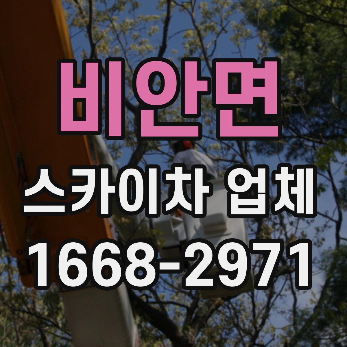 비안면 스카이차 업체