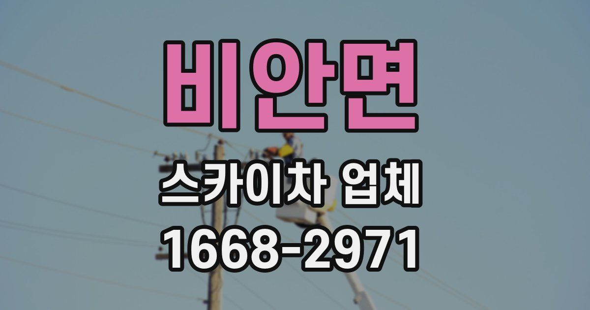 비안면 스카이차 업체
