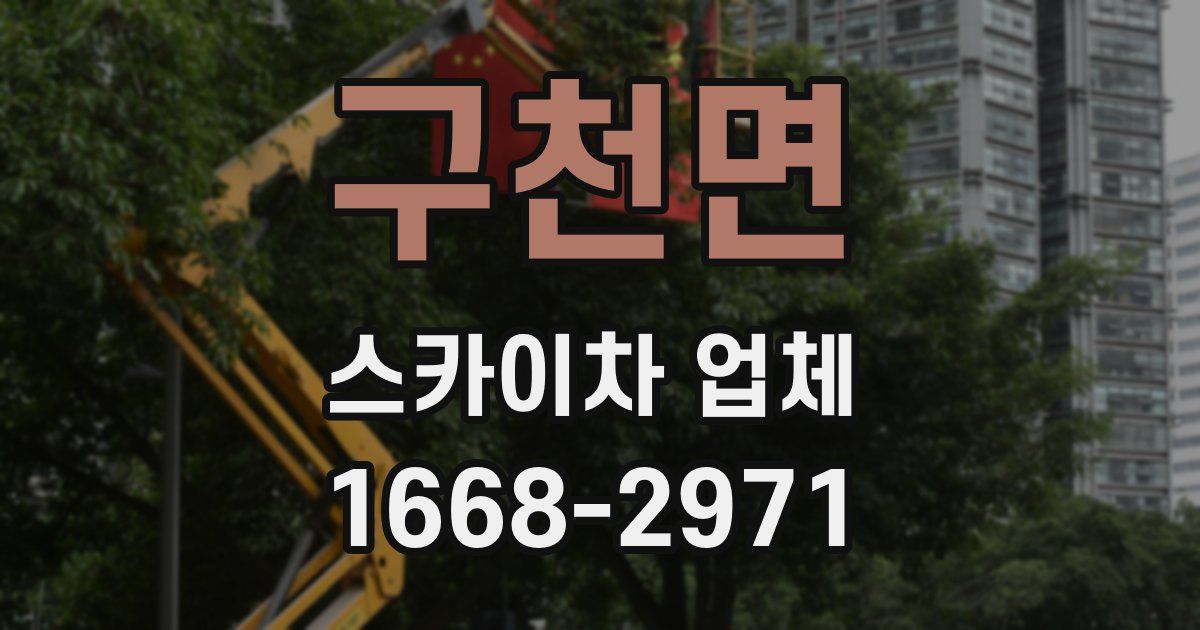 구천면 스카이차 업체
