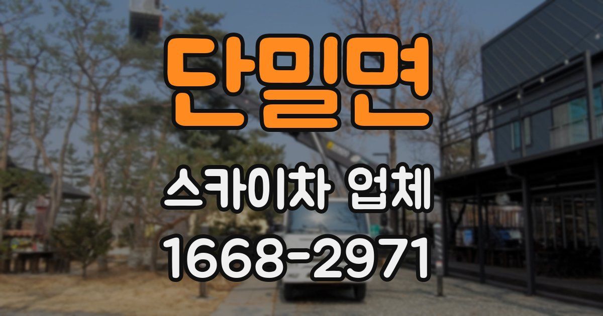 단밀면 스카이차 업체