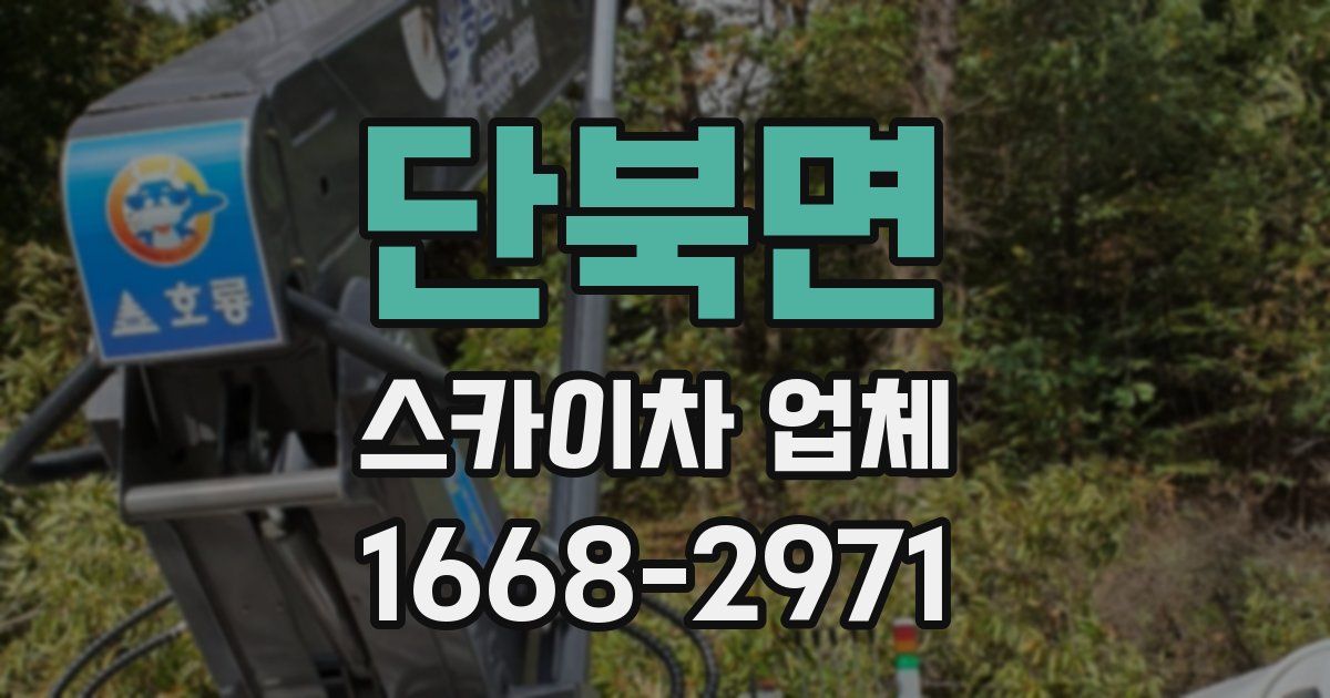 단북면 스카이차 업체