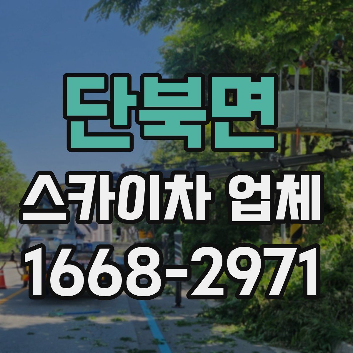 단북면 스카이차 업체