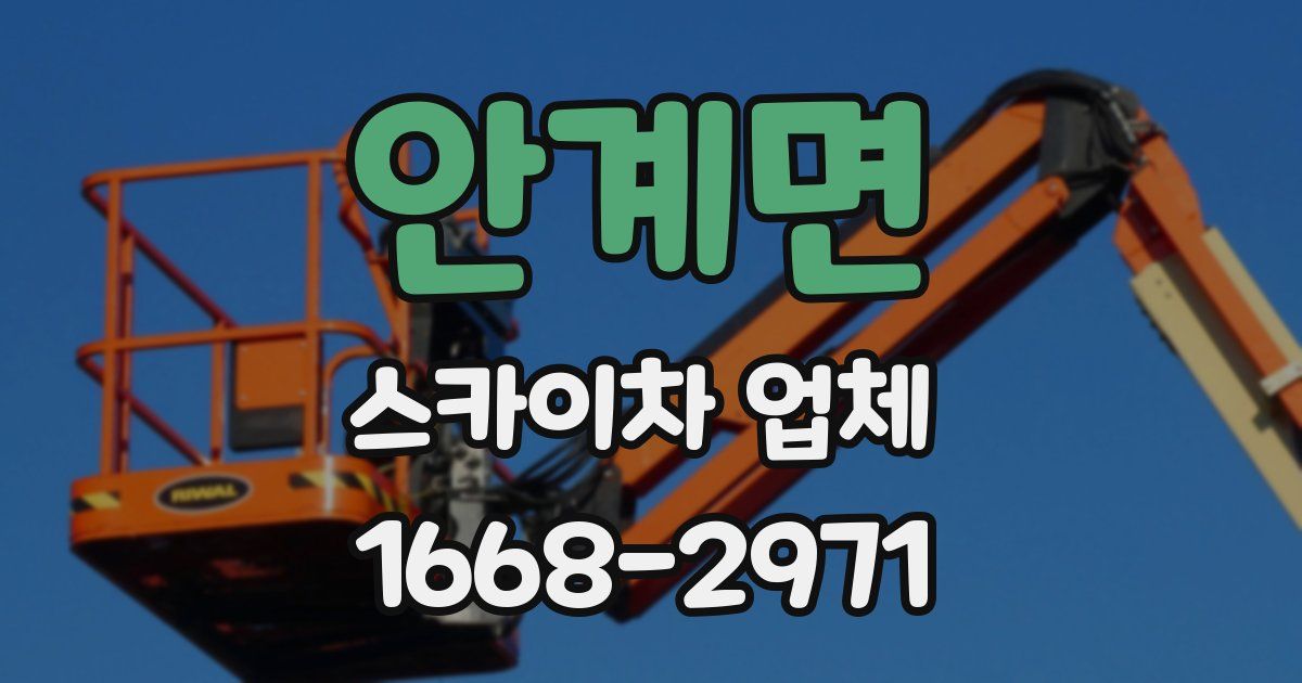 안계면 스카이차 업체