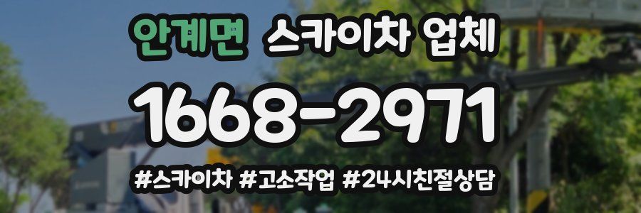 안계면 스카이차 업체