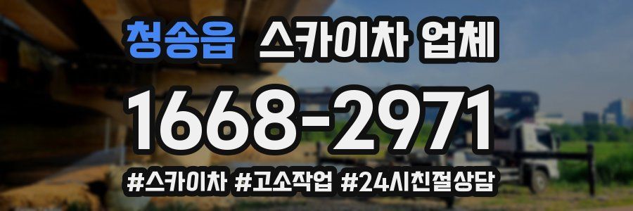 청송읍 스카이차 업체