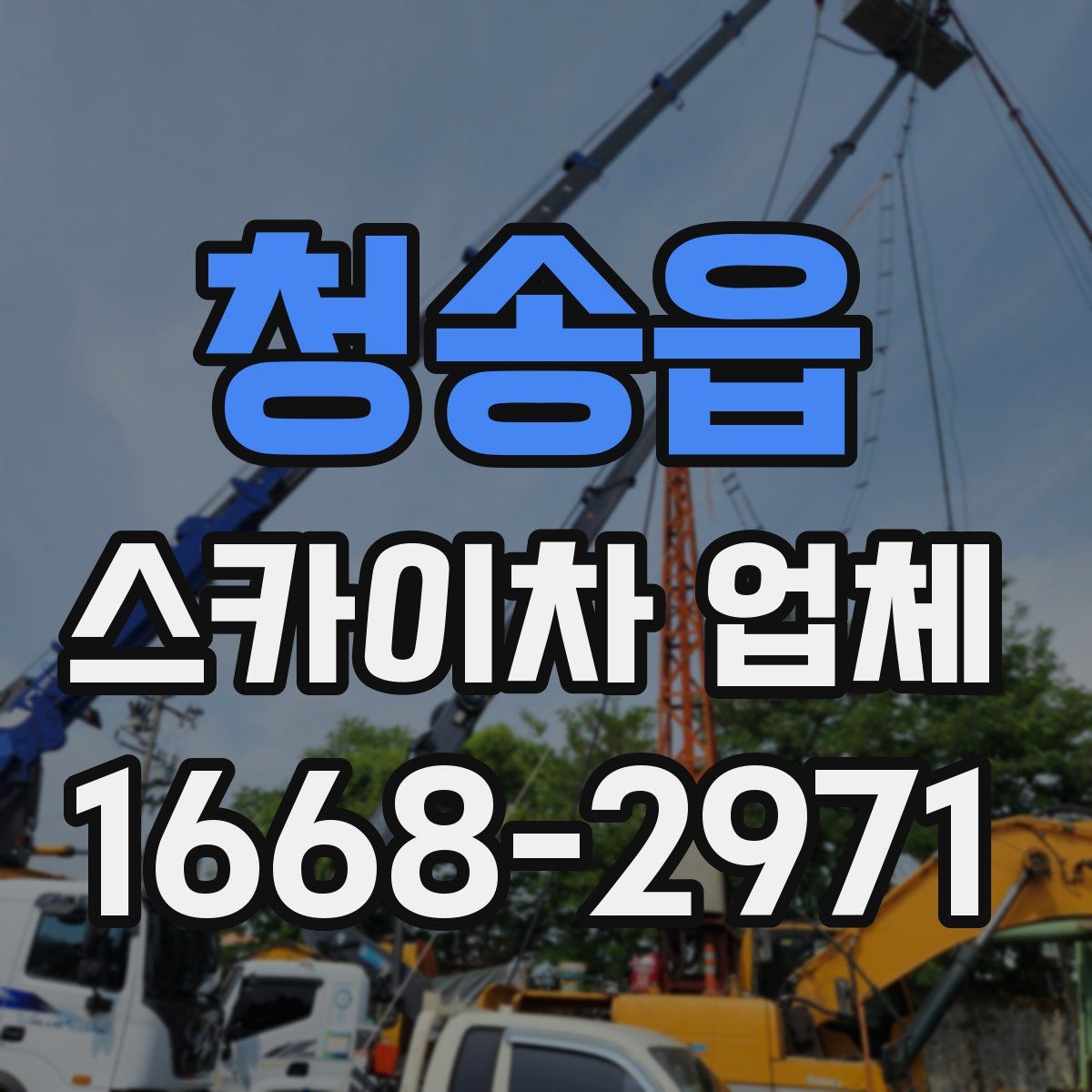 청송읍 스카이차 업체