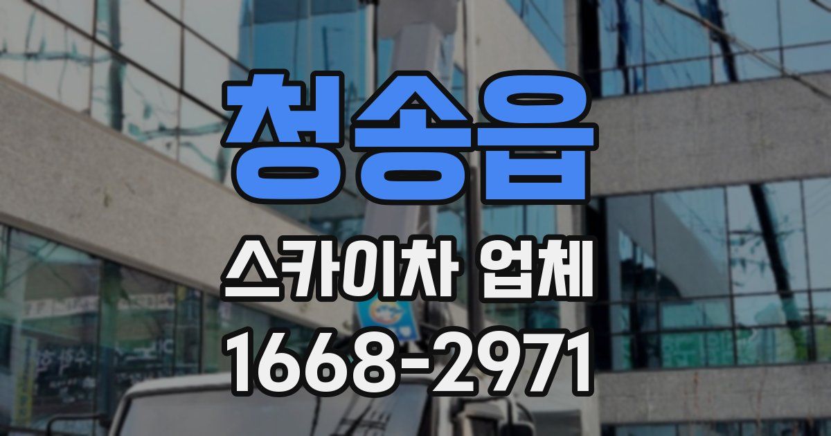 청송읍 스카이차 업체