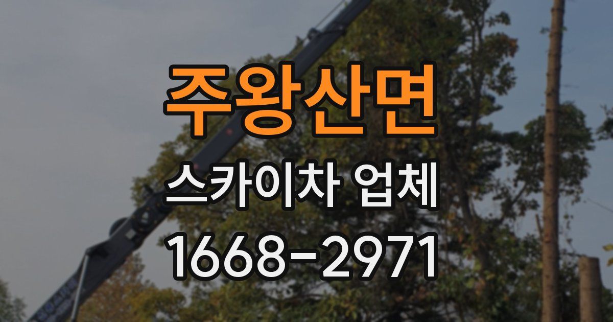 주왕산면 스카이차 업체