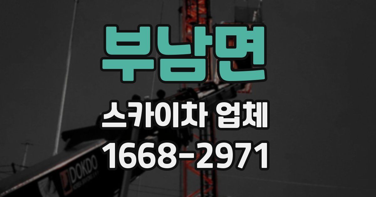 부남면 스카이차 업체
