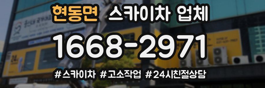 현동면 스카이차 업체