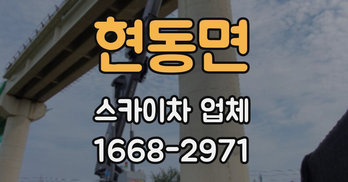 현동면 스카이차 업체