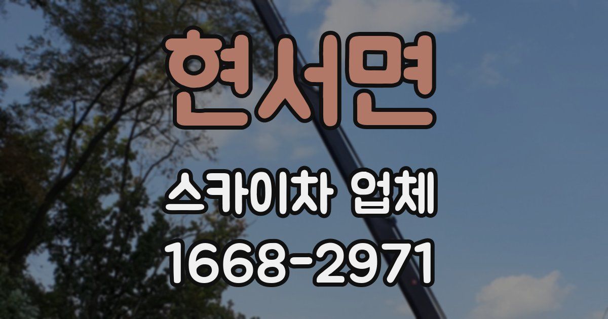 현서면 스카이차 업체