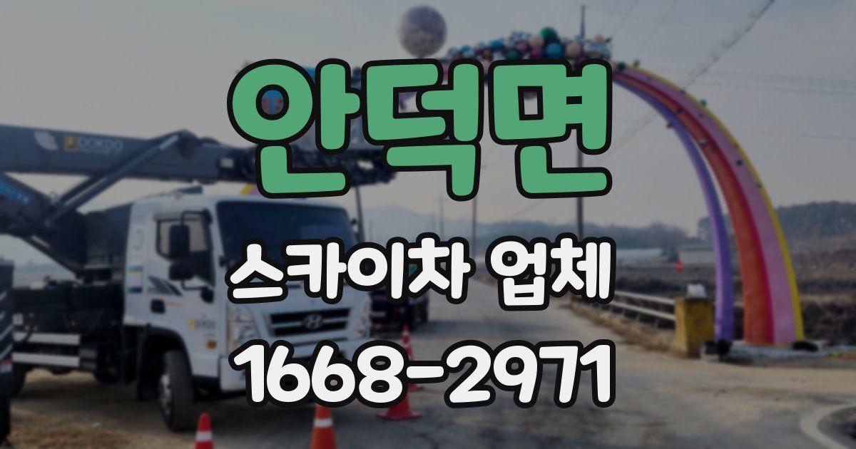 안덕면 스카이차 업체