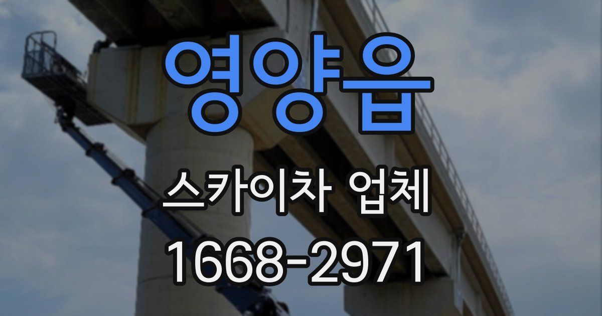 영양읍 스카이차 업체