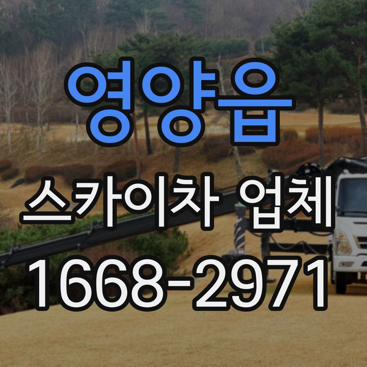 영양읍 스카이차 업체