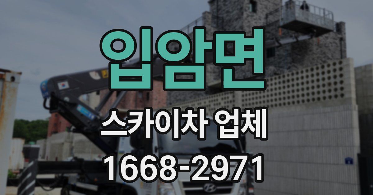 입암면 스카이차 업체