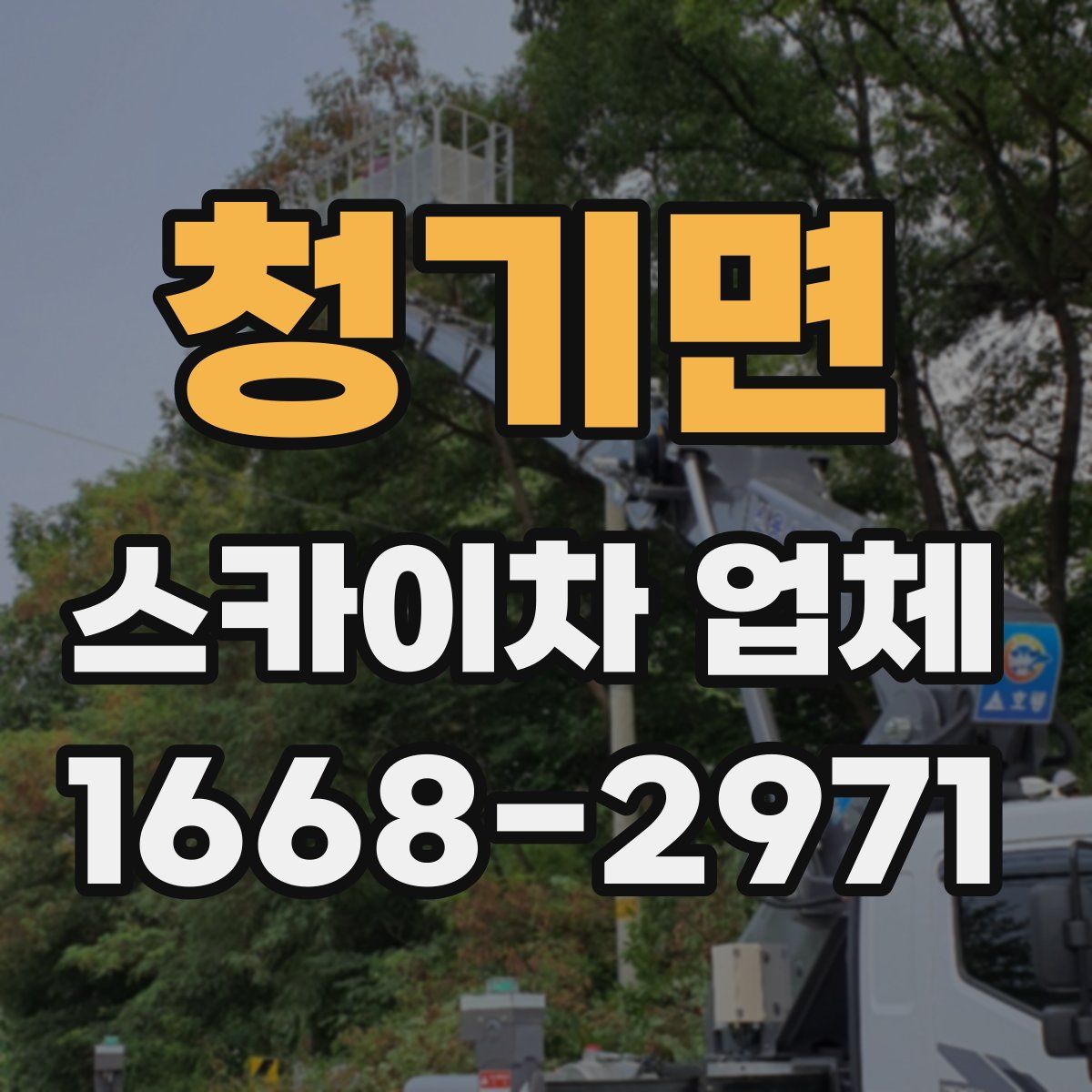 청기면 스카이차 업체