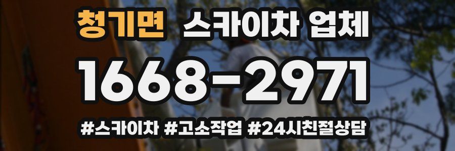 청기면 스카이차 업체