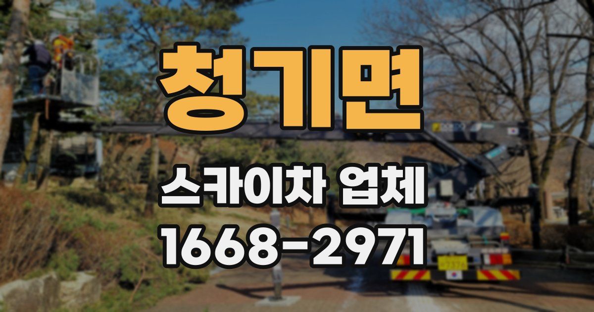 청기면 스카이차 업체