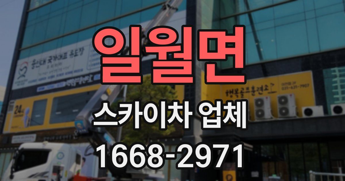 일월면 스카이차 업체