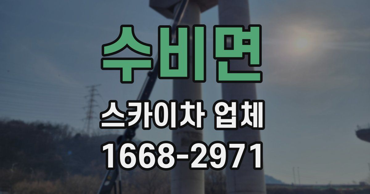 수비면 스카이차 업체