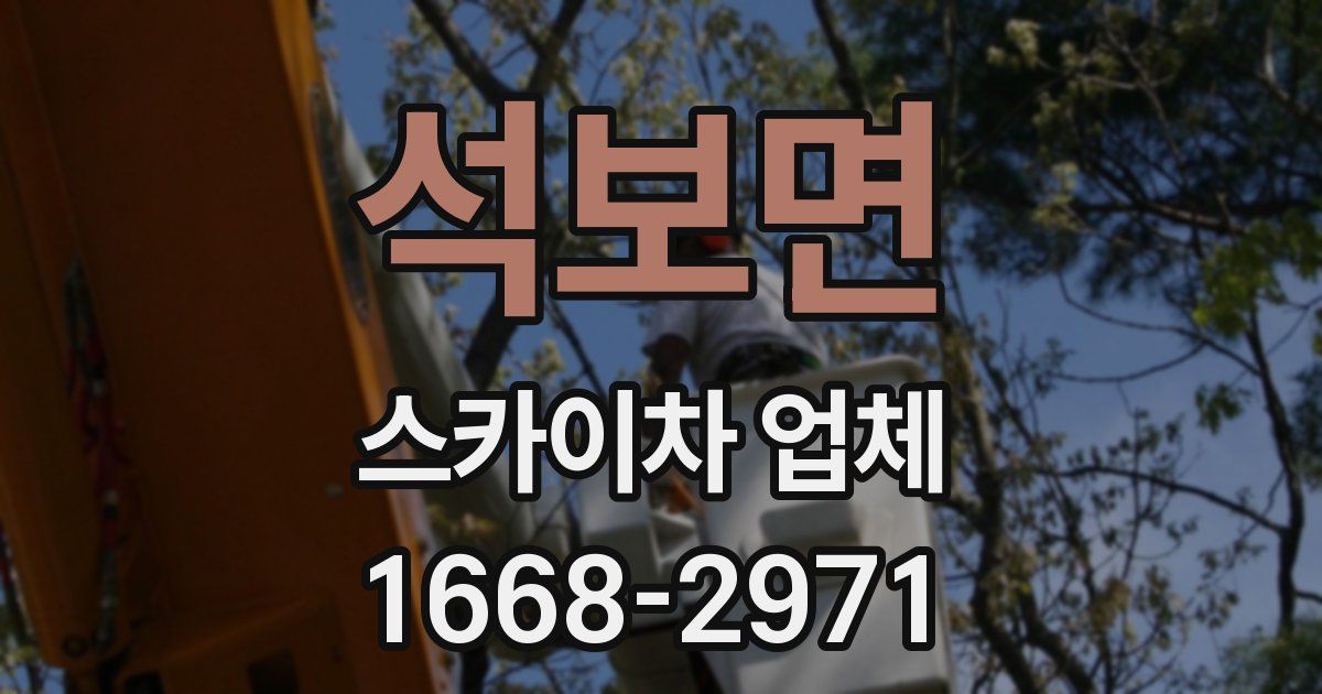 석보면 스카이차 업체