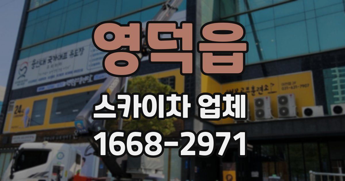 영덕읍 스카이차 업체