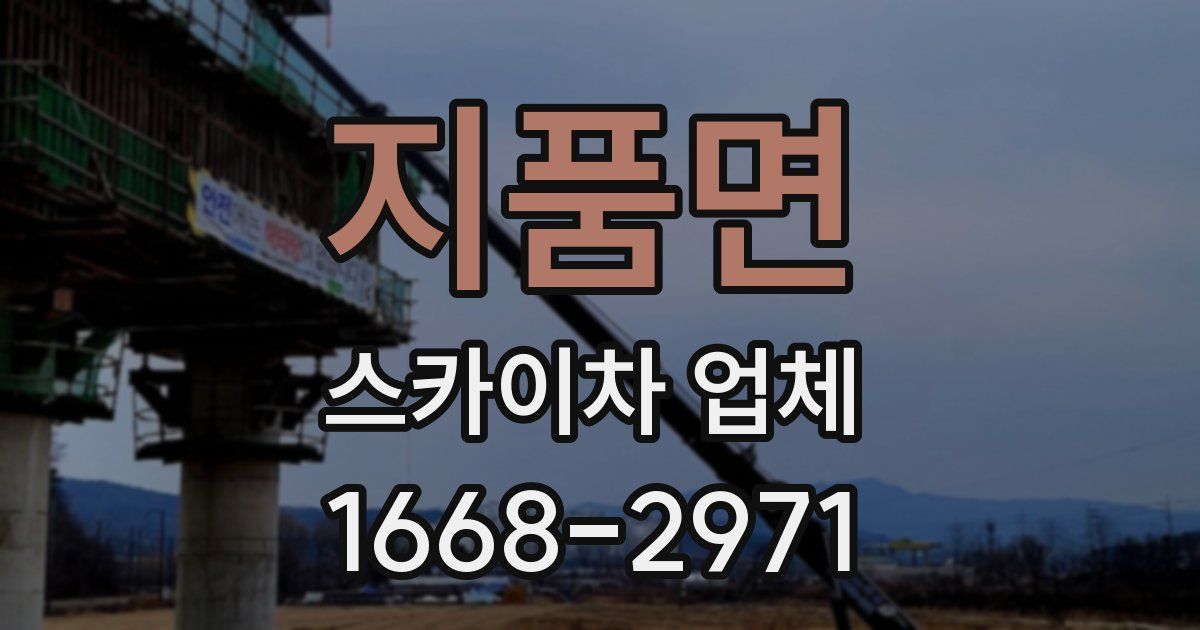 지품면 스카이차 업체