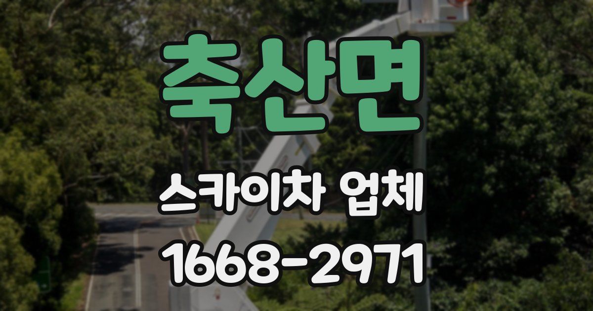 축산면 스카이차 업체