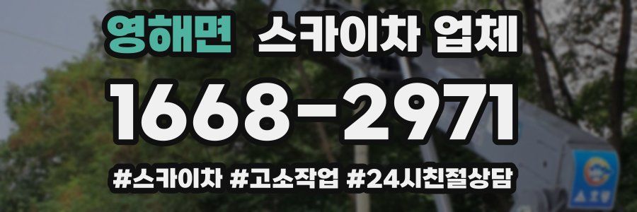 영해면 스카이차 업체