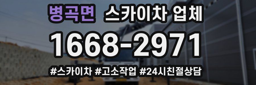 병곡면 스카이차 업체