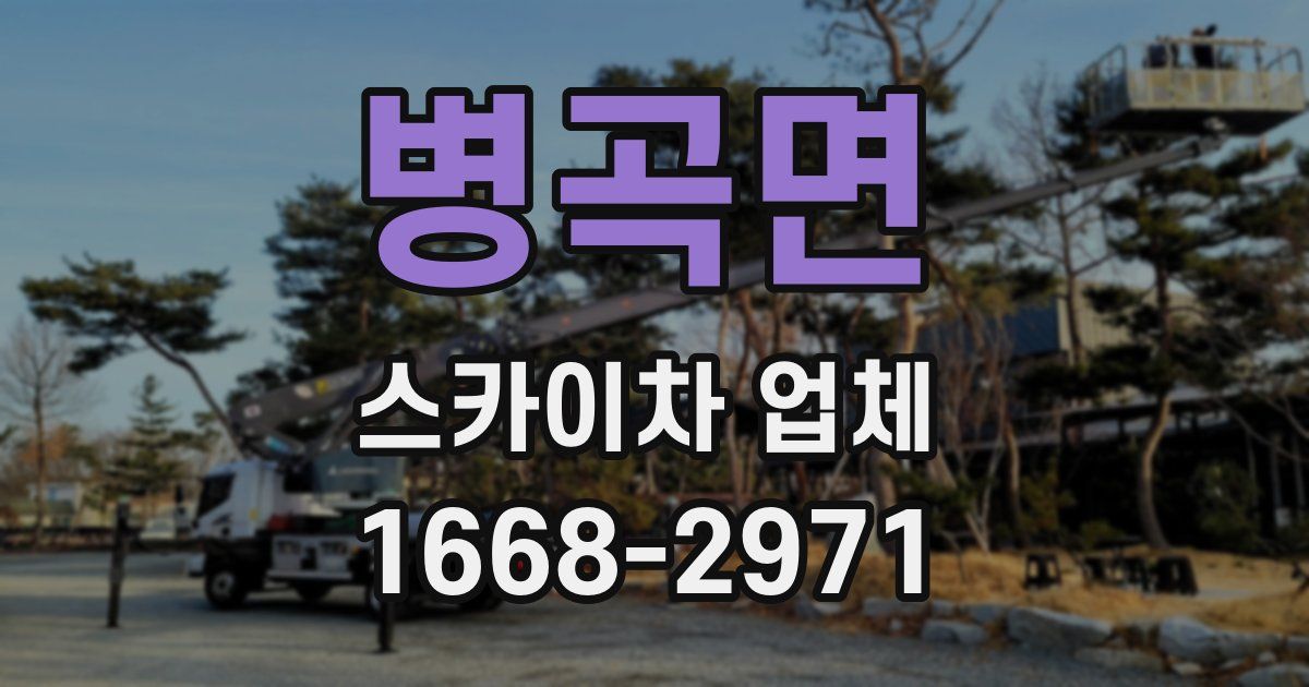 병곡면 스카이차 업체