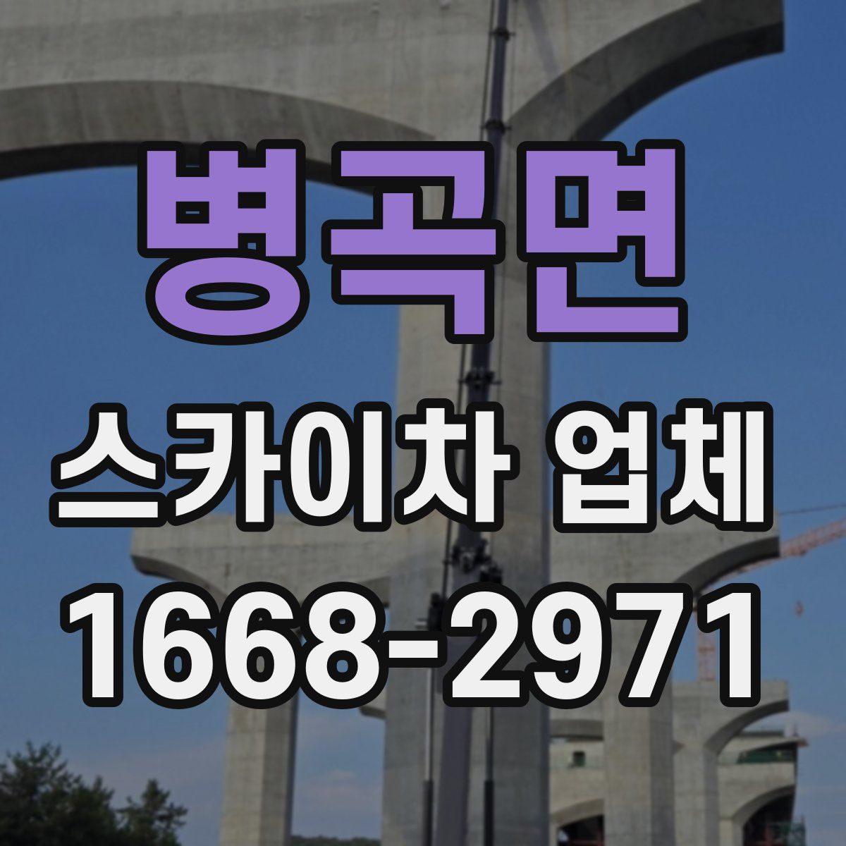 병곡면 스카이차 업체