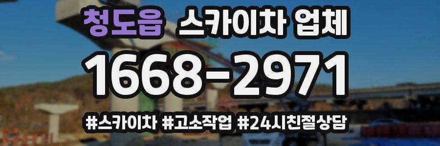 청도읍 스카이차 업체