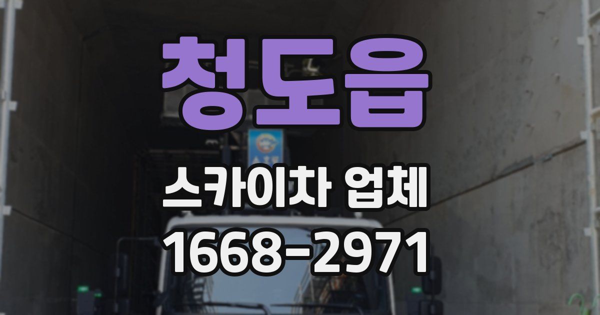 청도읍 스카이차 업체