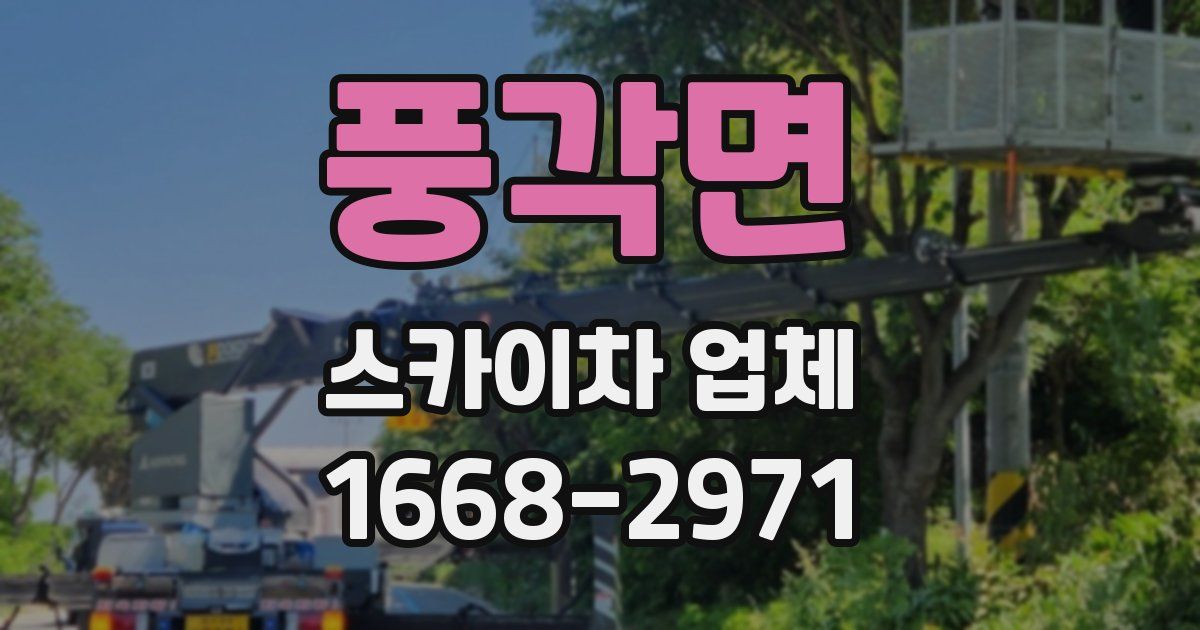 풍각면 스카이차 업체
