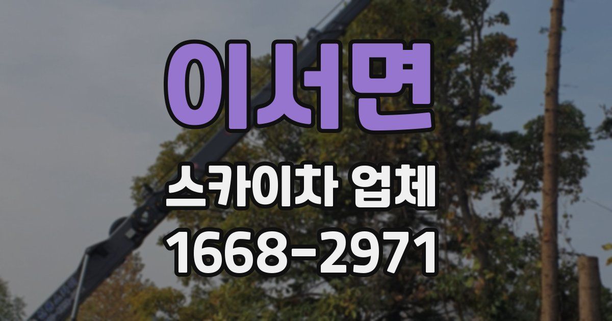 이서면 스카이차 업체