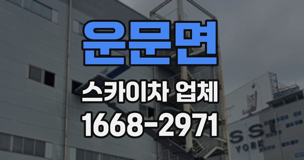 운문면 스카이차 업체