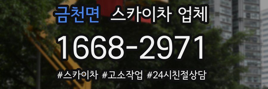 금천면 스카이차 업체