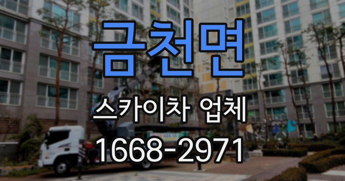 금천면 스카이차 업체